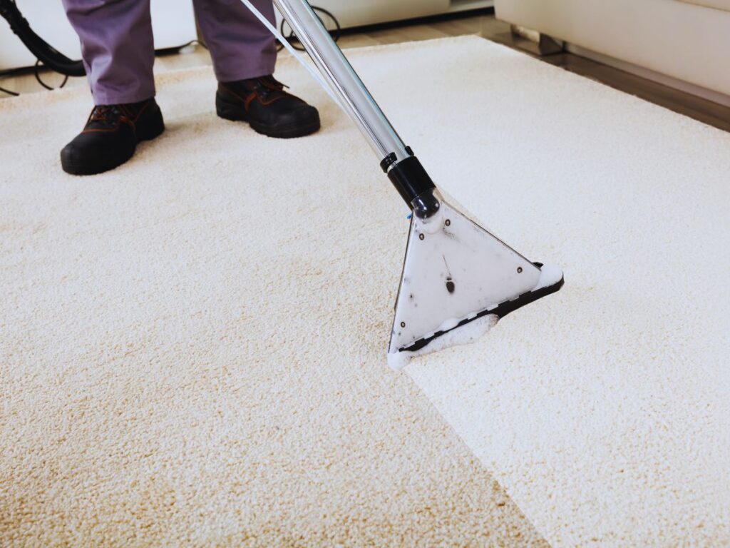 Expert Cleaning Solutions